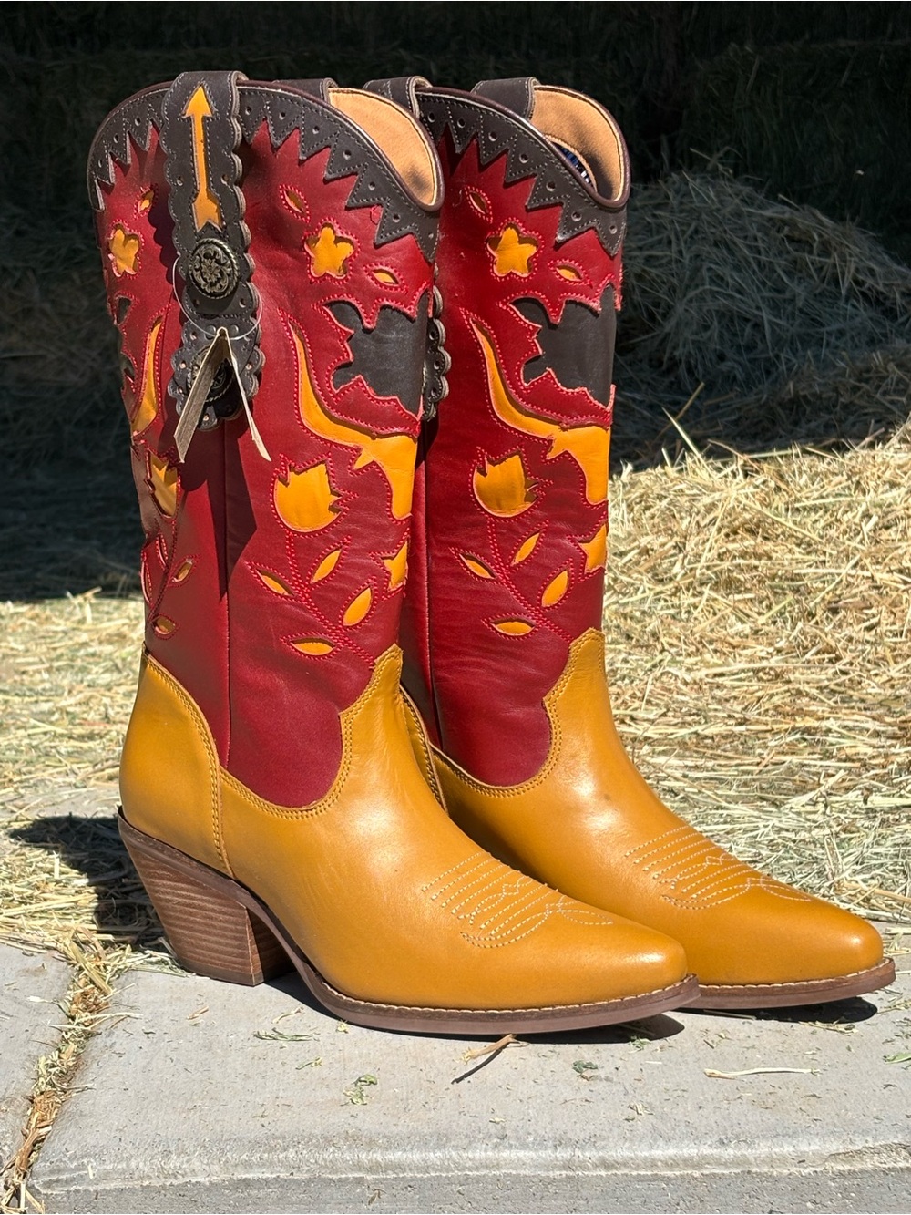 Dingo - Dancing Boots